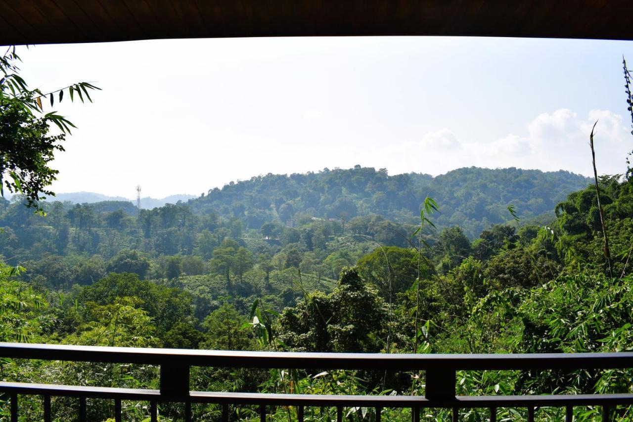 Brahmaputra Jungle Resort Γουβαχάτι Εξωτερικό φωτογραφία
