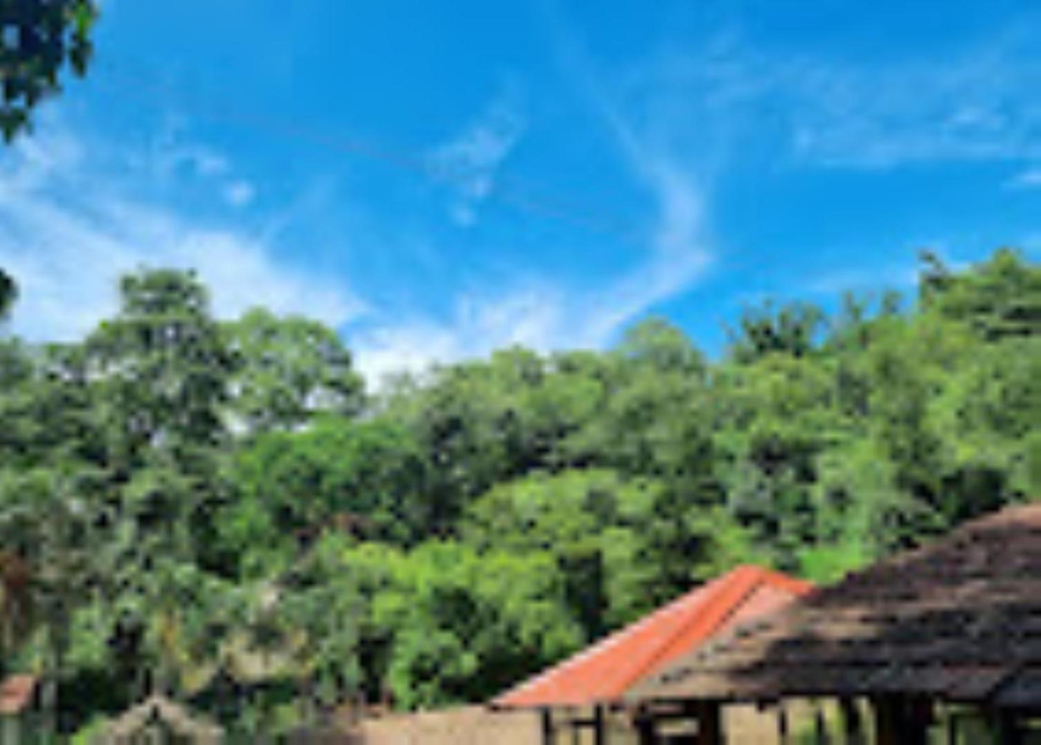 Brahmaputra Jungle Resort Γουβαχάτι Εξωτερικό φωτογραφία
