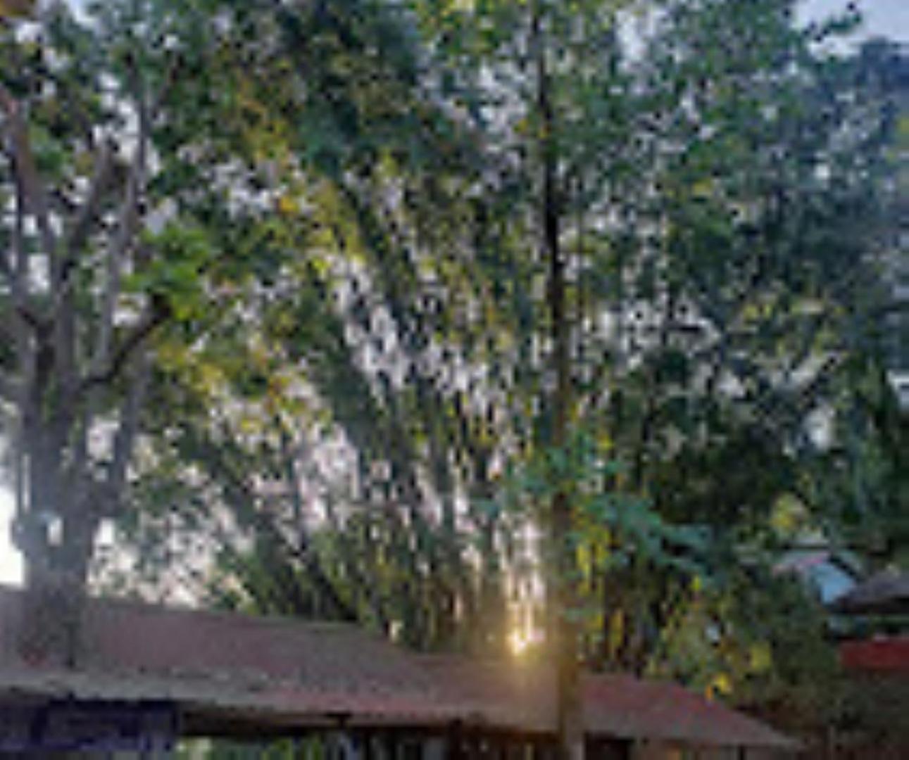 Brahmaputra Jungle Resort Γουβαχάτι Εξωτερικό φωτογραφία