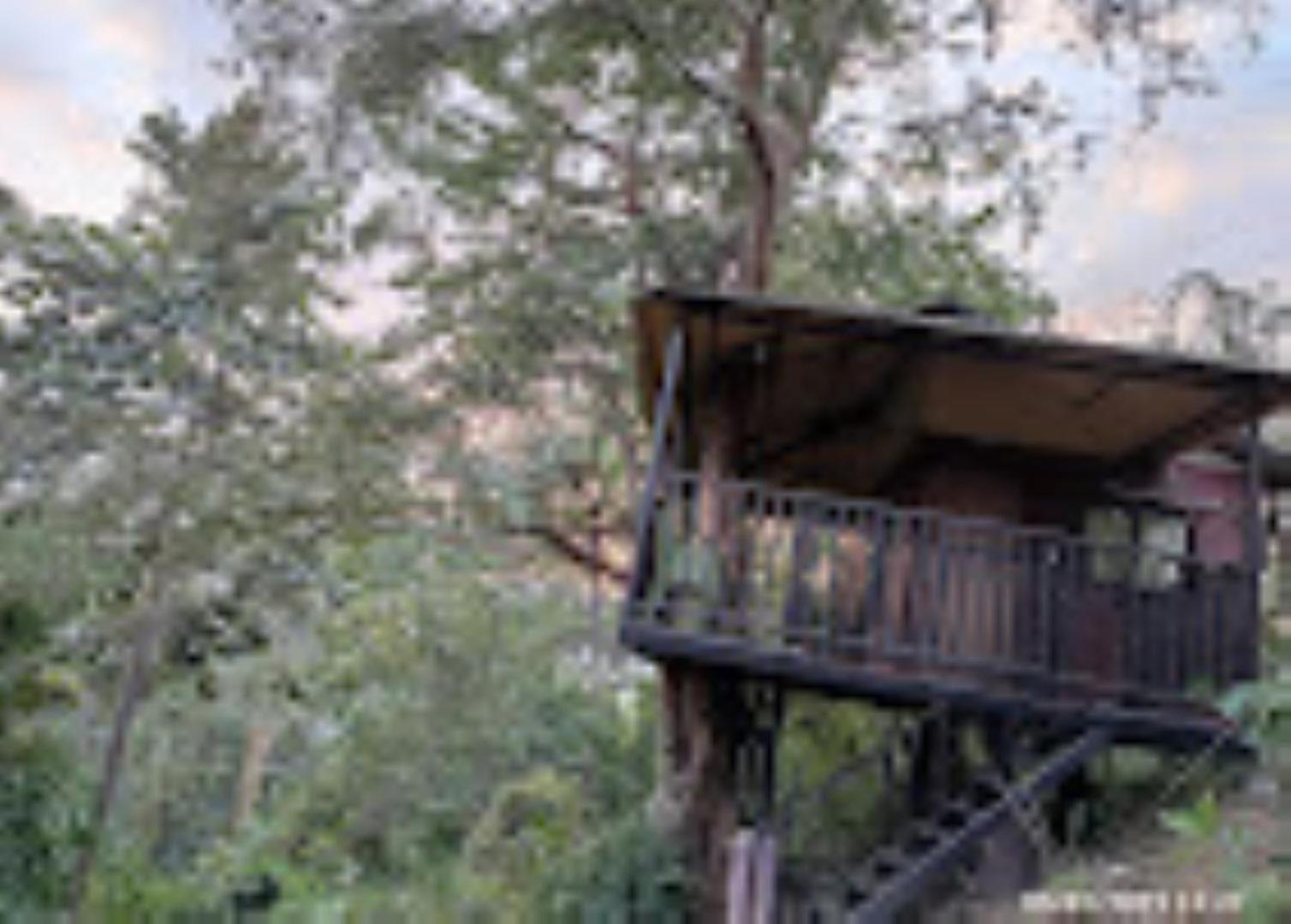 Brahmaputra Jungle Resort Γουβαχάτι Εξωτερικό φωτογραφία