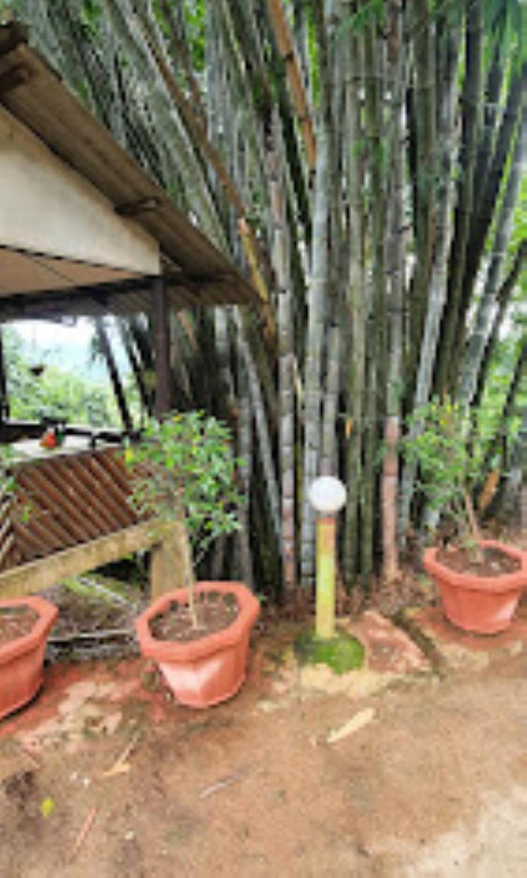 Brahmaputra Jungle Resort Γουβαχάτι Εξωτερικό φωτογραφία