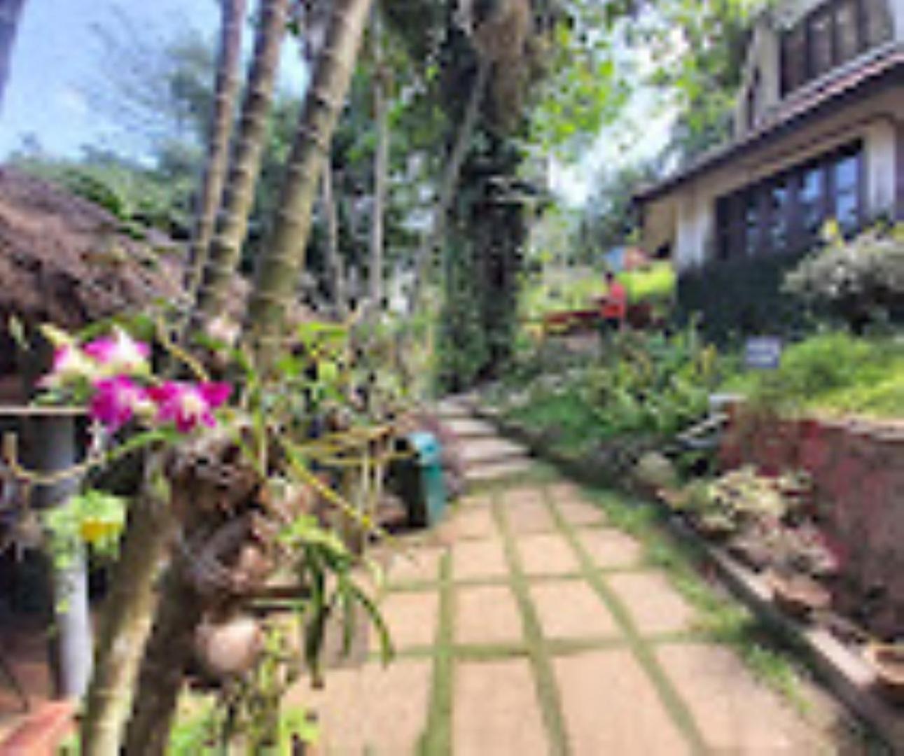 Brahmaputra Jungle Resort Γουβαχάτι Εξωτερικό φωτογραφία