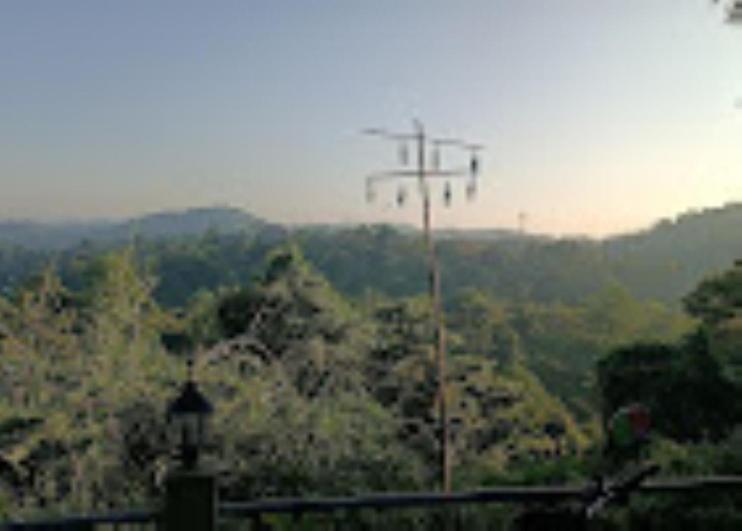 Brahmaputra Jungle Resort Γουβαχάτι Εξωτερικό φωτογραφία