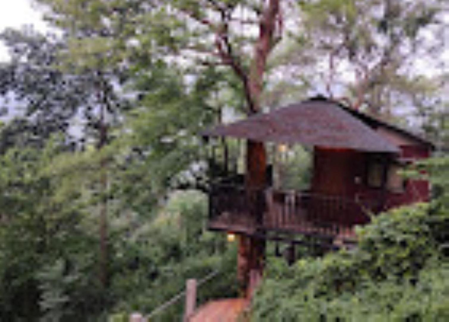 Brahmaputra Jungle Resort Γουβαχάτι Εξωτερικό φωτογραφία